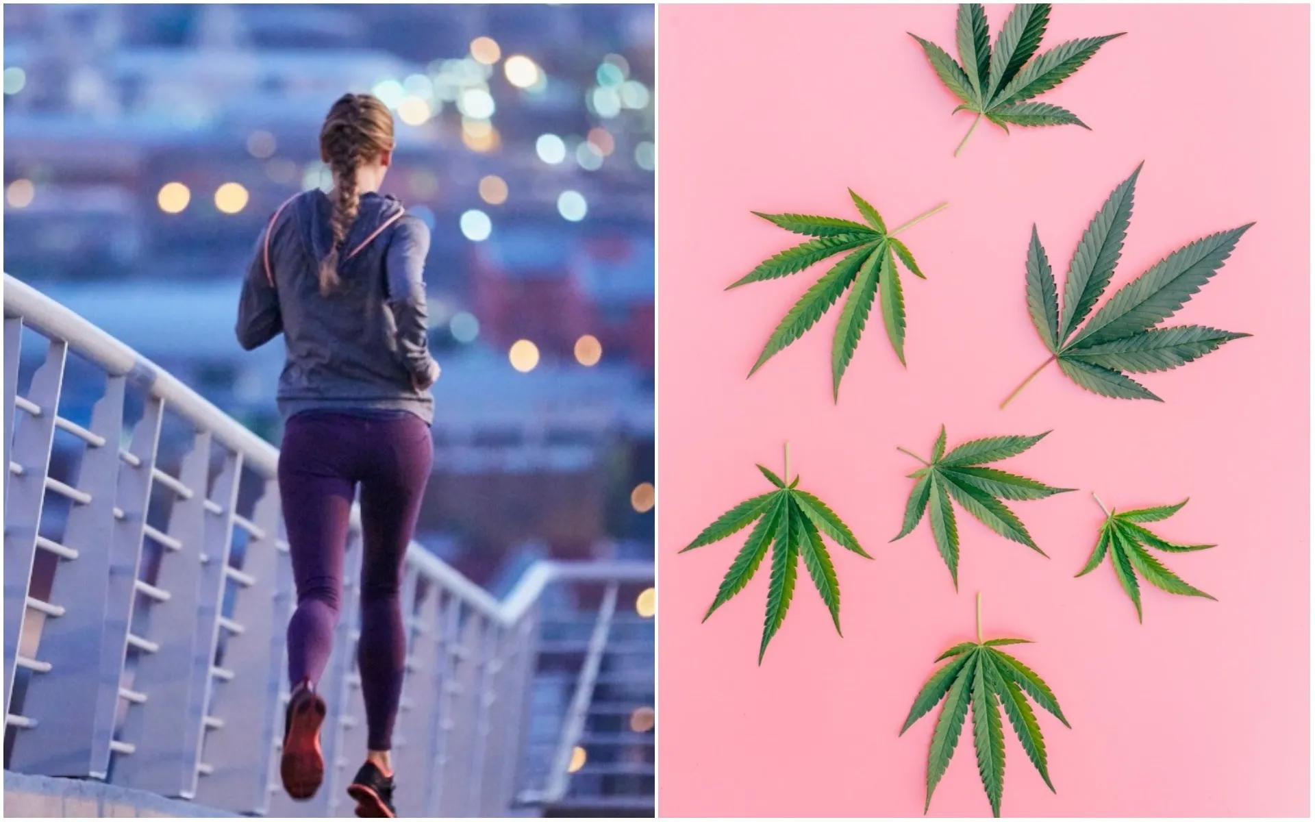 Munchabilies THC Trippy: A Journey Through Flavor and Euphoria